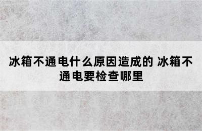 冰箱不通电什么原因造成的 冰箱不通电要检查哪里